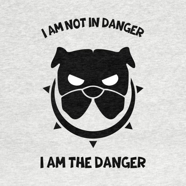 i am not in danger i am the danger by arlene